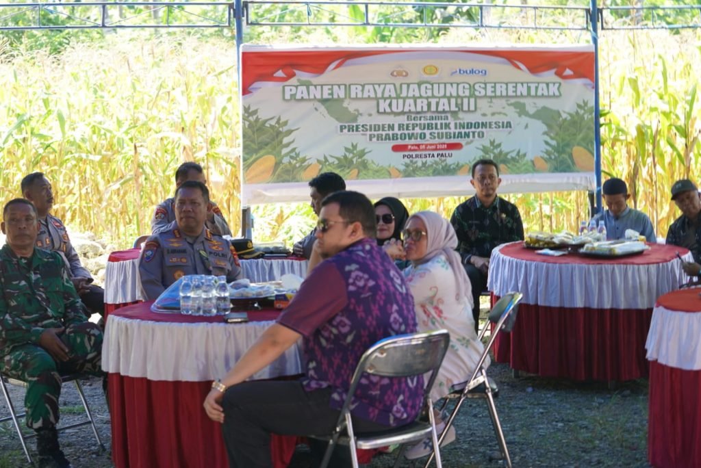 Panen Jagung Serentak Satu Juta Hektare